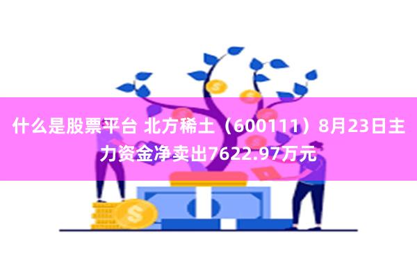 什么是股票平台 北方稀土（600111）8月23日主力资金净卖出7622.97万元