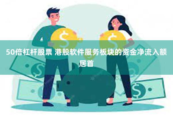 50倍杠杆股票 港股软件服务板块的资金净流入额居首