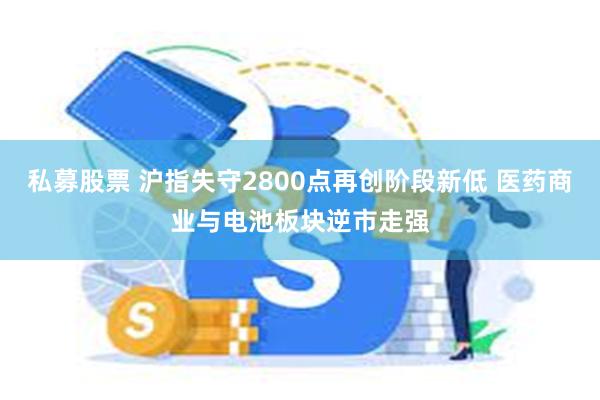 私募股票 沪指失守2800点再创阶段新低 医药商业与电池板块逆市走强