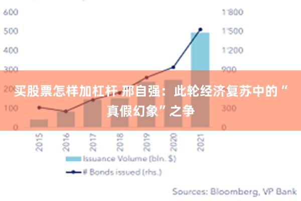 买股票怎样加杠杆 邢自强：此轮经济复苏中的“真假幻象”之争