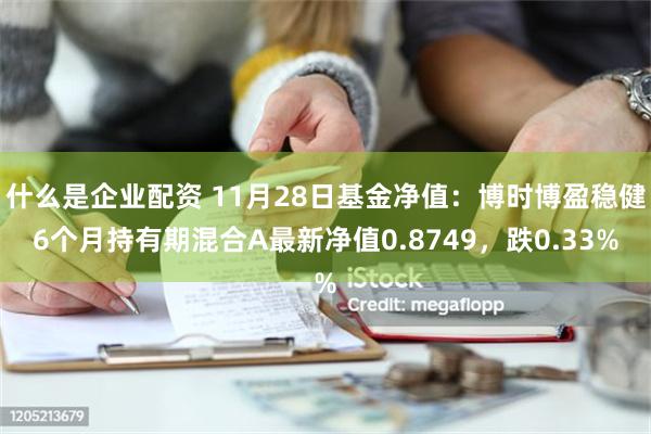 什么是企业配资 11月28日基金净值：博时博盈稳健6个月持有期混合A最新净值0.8749，跌0.33%