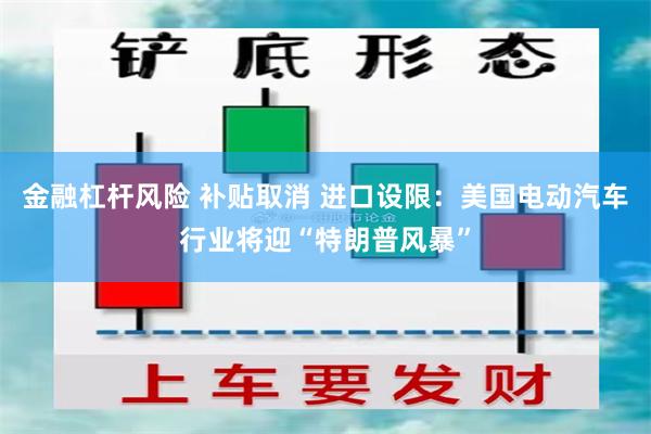 金融杠杆风险 补贴取消 进口设限：美国电动汽车行业将迎“特朗普风暴”