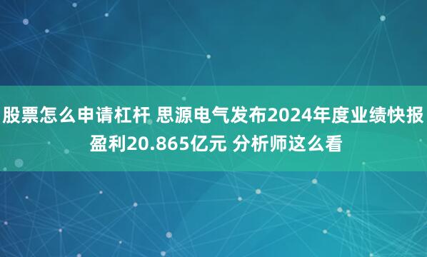 股票怎么申请杠杆 思源电气发布2024年度业绩快报 盈利20.865亿元 分析师这么看