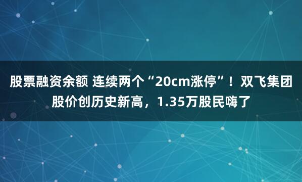 股票融资余额 连续两个“20cm涨停”！双飞集团股价创历史新高，1.35万股民嗨了