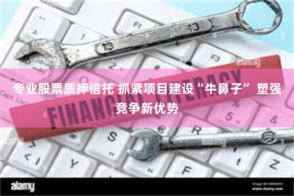 专业股票质押信托 抓紧项目建设“牛鼻子” 塑强竞争新优势