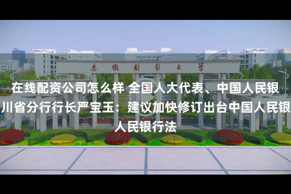 在线配资公司怎么样 全国人大代表、中国人民银行四川省分行行长严宝玉：建议加快修订出台中国人民银行法